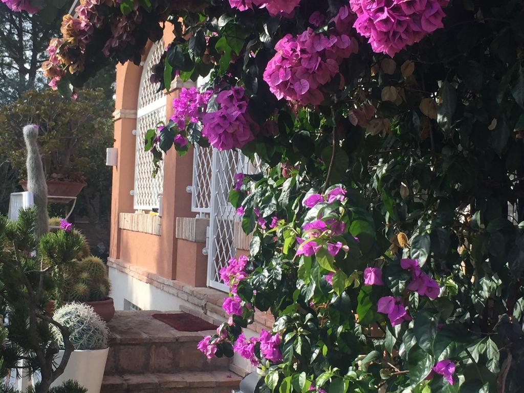 تشيفيتانوفا ألتا Villa Silvio الغرفة الصورة