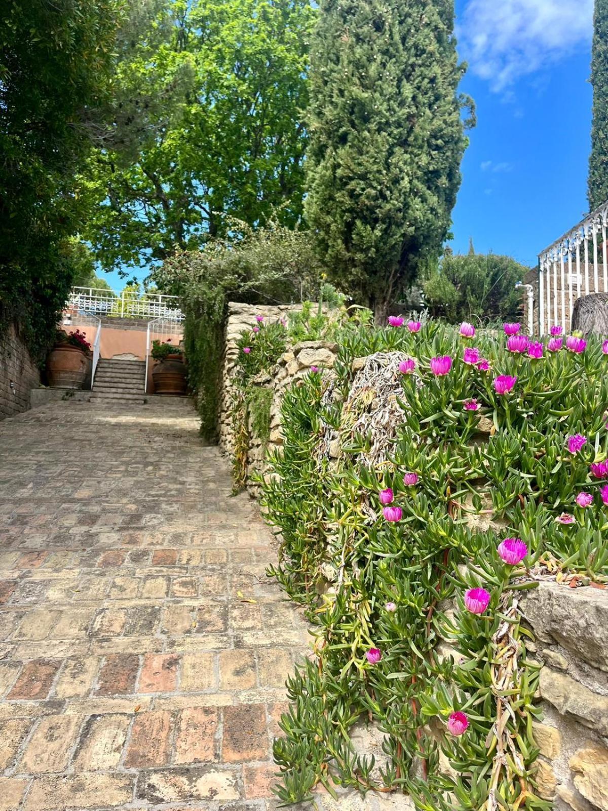 تشيفيتانوفا ألتا Villa Silvio المظهر الخارجي الصورة